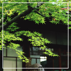 ご予約・お問合せ